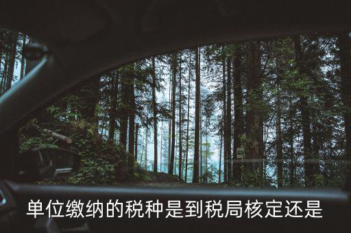 什么時(shí)候 稅種核定，單位繳納的稅種是到稅局核定還是