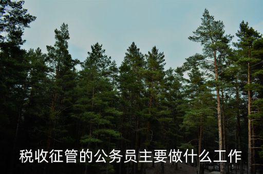 稅收管理員干什么的，稅收征管的公務(wù)員主要做什么工作