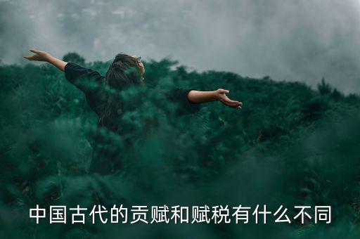 賦稅古代指什么，秦朝賦稅嚴(yán)重被稱為什么的