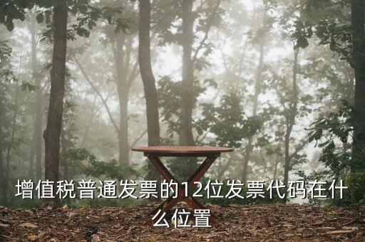 12位發(fā)票代碼是什么，增值稅普通發(fā)票的12位發(fā)票代碼在什么位置