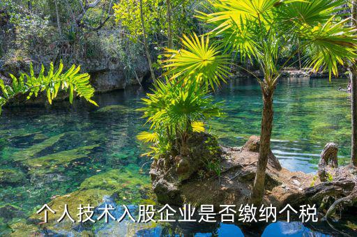 個人專利入股繳什么稅，請教稅法高手個人專利技術(shù)入股需繳稅嗎