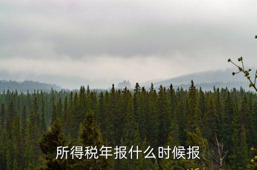 國稅企業(yè)所得稅年報什么時候開始報，什么時間報企業(yè)所得稅年度納稅