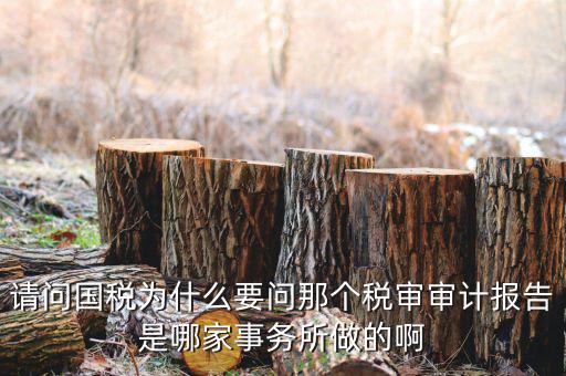 請問國稅為什么要問那個稅審審計(jì)報告是哪家事務(wù)所做的啊