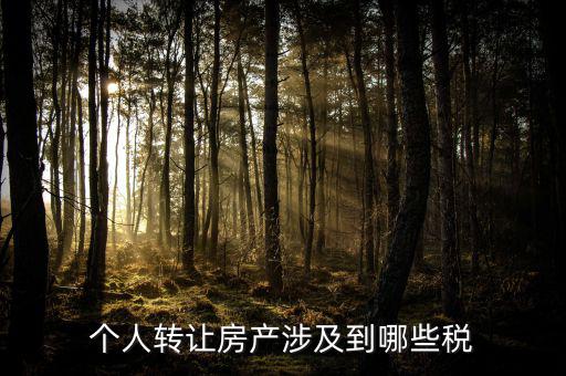 個(gè)人出售住房交什么稅，賣房子要交20的稅
