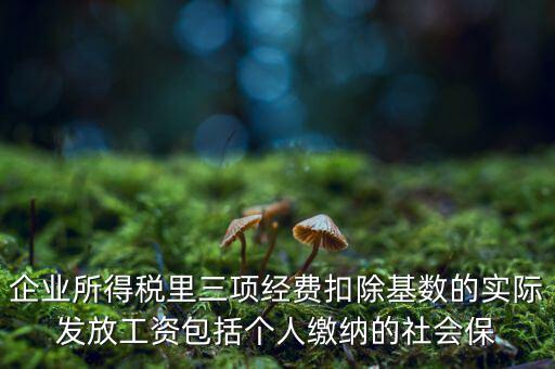 企業(yè)所得稅扣除基數(shù)指什么，企業(yè)所得稅里三項(xiàng)經(jīng)費(fèi)扣除基數(shù)的實(shí)際發(fā)放工資包括個(gè)人繳納的社會(huì)保