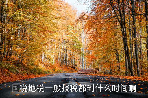 國稅上報省局什么時候，國稅地稅網(wǎng)上報稅時間