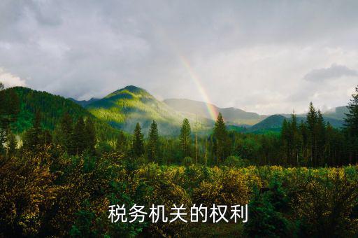 稅務(wù)機(jī)關(guān)的權(quán)利有什么，稅務(wù)機(jī)關(guān)的權(quán)利