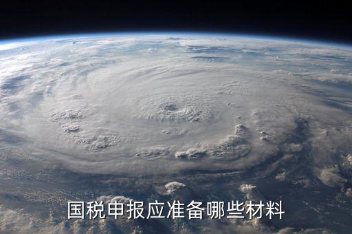 國稅報稅帶什么，國稅申報應準備哪些材料