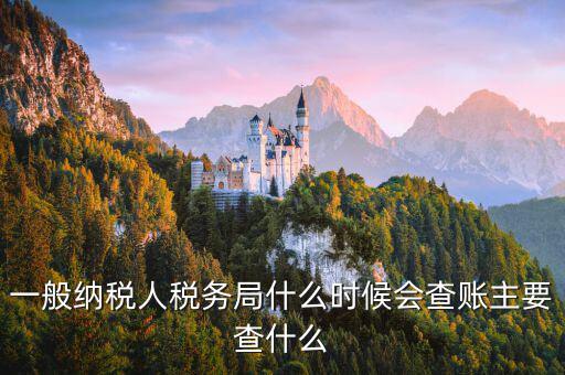 稅局什么時(shí)間搖號稽查，一般納稅人稅務(wù)局什么時(shí)候會查賬主要查什么