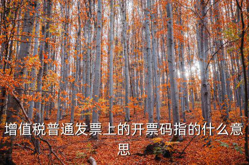 稅控盤開票碼是什么意思，增值稅普通發(fā)票上的開票碼指的什么意思