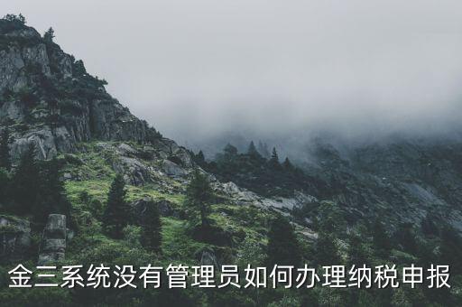 金三申報(bào)申報(bào)什么意思，申報(bào)是什么意思