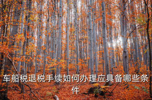 車船稅退稅手續(xù)如何辦理應具備哪些條件