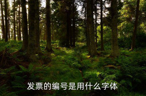 發(fā)票中公司字體是什么字體，發(fā)票的編號(hào)是用什么字體