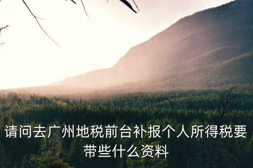 請(qǐng)問去廣州地稅前臺(tái)補(bǔ)報(bào)個(gè)人所得稅要帶些什么資料