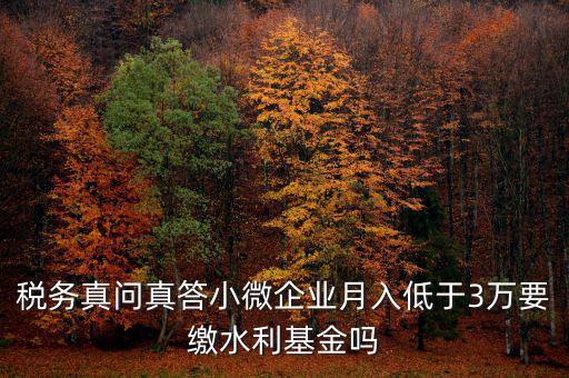 稅務(wù)真問真答小微企業(yè)月入低于3萬(wàn)要繳水利基金嗎
