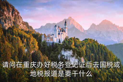 地稅報道是什么，地稅報的是哪些稅月報還是季報還是年報