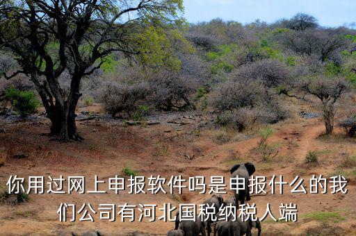 稅友報稅的軟件叫什么，你用過網(wǎng)上申報軟件嗎是申報什么的我們公司有河北國稅納稅人端