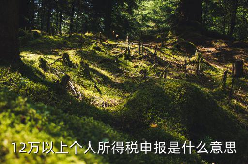個稅12萬申報是什么意思，12萬以上個人所得稅申報是什么意思