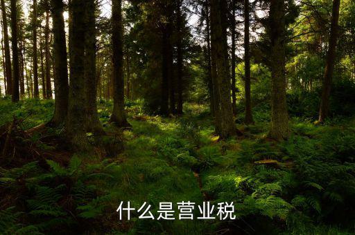 營(yíng)業(yè)稅是什么行為稅，請(qǐng)問(wèn)什么是營(yíng)業(yè)稅