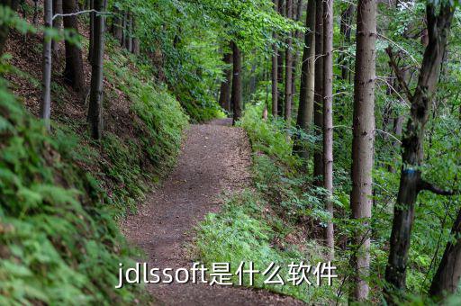 jdlssoft是什么文件，這個(gè)文件是什么有什么用可以刪嗎
