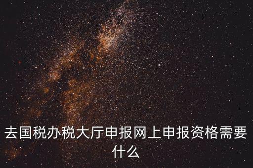 國稅網(wǎng)上申報用什么，去國稅辦稅大廳申報網(wǎng)上申報資格需要什么
