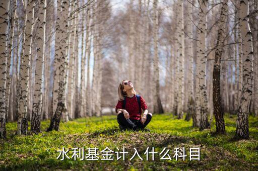 水利基金指什么，水利基金計(jì)入什么科目