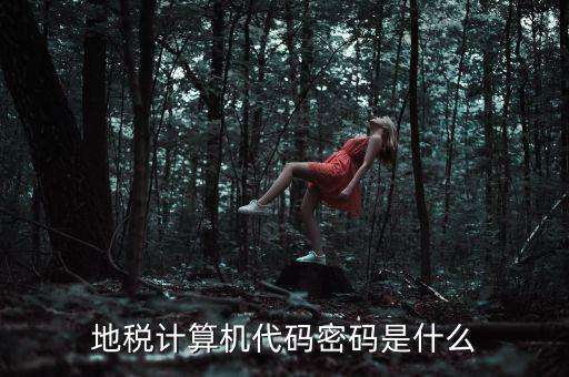 地稅稅務登陸密碼是什么意思，湖北地稅網(wǎng)絡發(fā)票登陸密碼是什么急急急