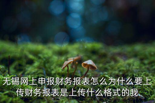 為什么要上傳報表，無錫網(wǎng)上申報財務報表怎么為什么要上傳財務報表是上傳什么格式