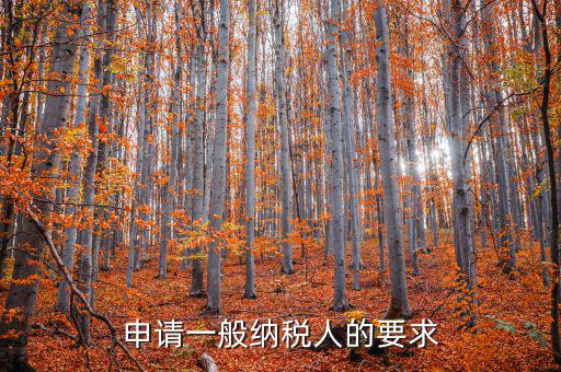納稅人需求什么，申請(qǐng)一般納稅人的要求