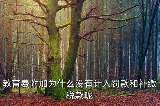 教育費附加為什么沒有計入罰款和補繳稅款呢