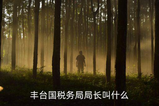 豐臺(tái)國稅務(wù)局局長(zhǎng)叫什么