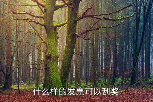 北京什么發(fā)票可以抽獎，北京市出租車發(fā)票可以刮獎媽么