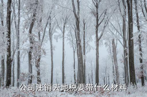 地稅注銷需要什么，注銷公司地稅局需要的資料