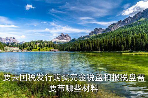 購買金稅盤要帶什么，購買增值稅發(fā)票系統(tǒng)金稅盤需帶什么資料