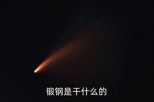 弘遠泰斯是干什么的，飛踏是干什么的