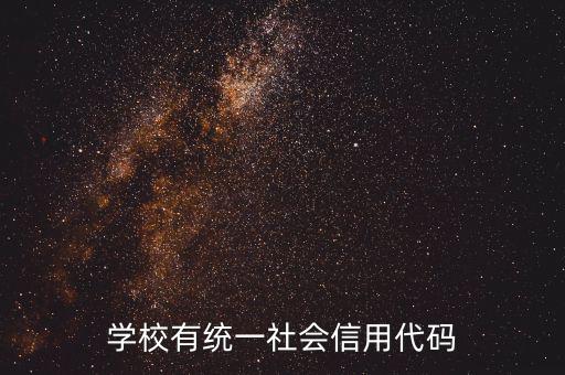 社會(huì)識(shí)別代碼是什么問(wèn)題，社會(huì)信用代碼是不是納稅人識(shí)別號(hào)