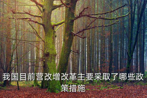 目前營(yíng)改增政策暫不包括什么，營(yíng)改增的范圍不包括  A軌道交通運(yùn)輸 B航空公司出租飛機(jī)配