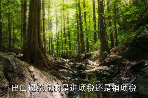 出口退稅退的是什么稅，出口退稅退的是進(jìn)項(xiàng)稅還是銷項(xiàng)稅