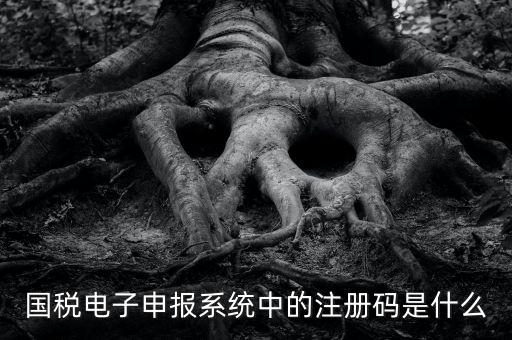 納稅申報(bào)碼是什么碼，什么是納稅申報(bào)號(hào)