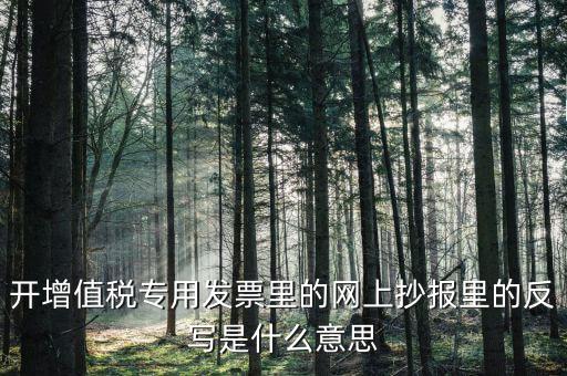 開(kāi)增值稅專(zhuān)用發(fā)票里的網(wǎng)上抄報(bào)里的反寫(xiě)是什么意思