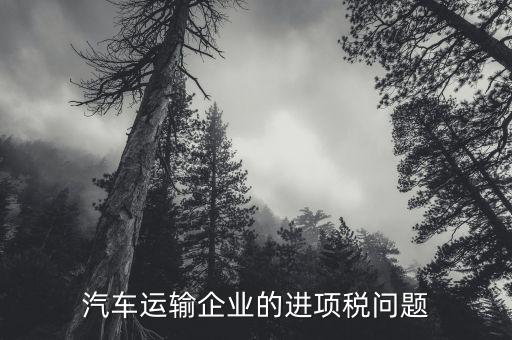 運輸公司的進(jìn)項是什么，公路運輸業(yè)進(jìn)項稅額含哪些