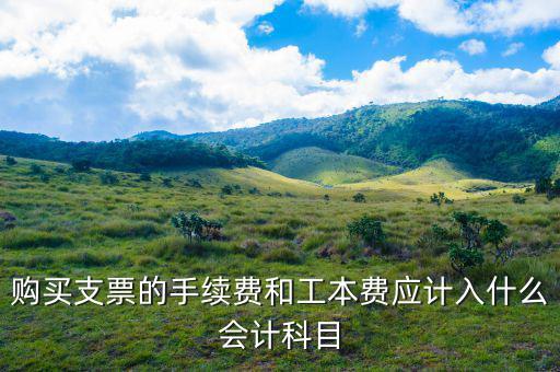 購買支票的手續(xù)費和工本費應計入什么會計科目