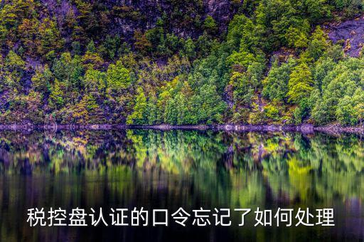 稅控盤口令認(rèn)證失敗什么情況，稅控盤認(rèn)證的口令忘記了如何處理