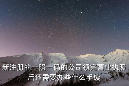 廣東一照一碼采集完應該做什么，領取一照一碼后地稅申報要注意什么