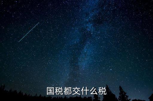 國(guó)稅五項(xiàng)稅種都是什么，國(guó)稅包括哪些稅種