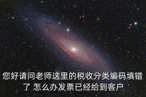 稅收分類編碼錯誤的是什么，汽車導航儀稅收分類編碼是什么