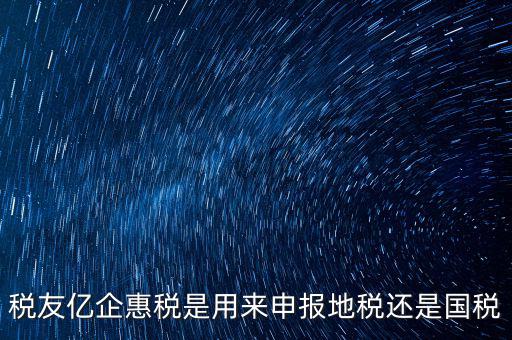 稅友報(bào)稅的是什么，稅友億企惠稅是用來申報(bào)地稅還是國稅