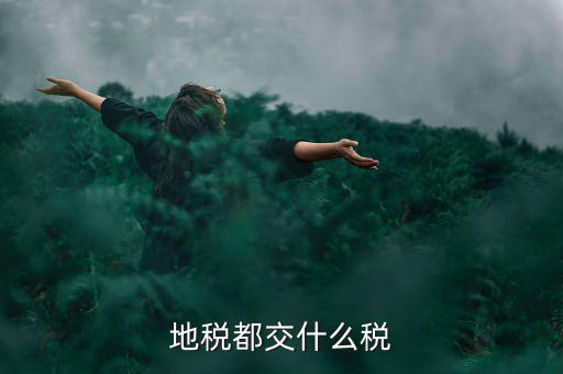 地稅需要報(bào)什么稅種，地稅應(yīng)交哪些稅