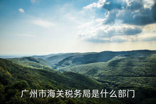 稅務(wù)總局國際司干什么，國家稅務(wù)總局是正部級