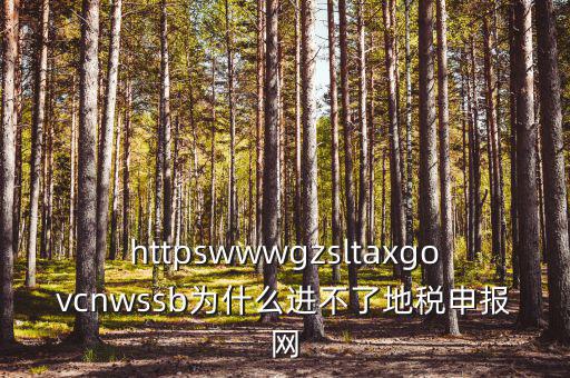 為什么上不去河北地稅網(wǎng)，地稅的網(wǎng)站現(xiàn)在進(jìn)不去不知是什么原因